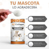 COLÁGENO PARA MASCOTA 110 G PETCOLLAGEN