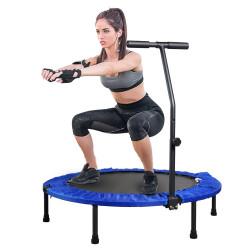 -CATÁLOGO- TRAMPOLÍN FITNESS PL609